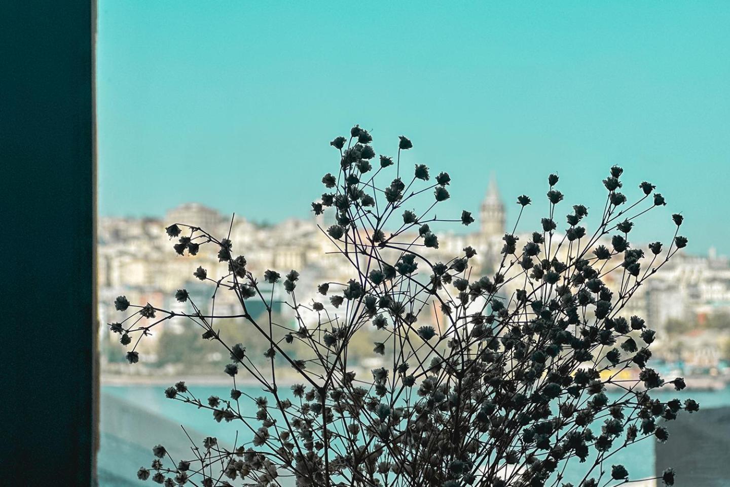 The Halic Bosphorus Hotel Istanbul Eksteriør billede